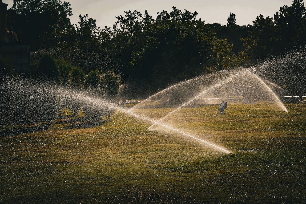 How Much of Our July Water Bill Went Into the Lawn