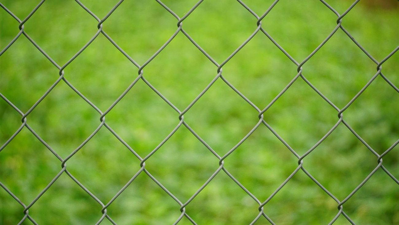 Outsmarting a Dog Who Learned to Open the Chain-Link Gate