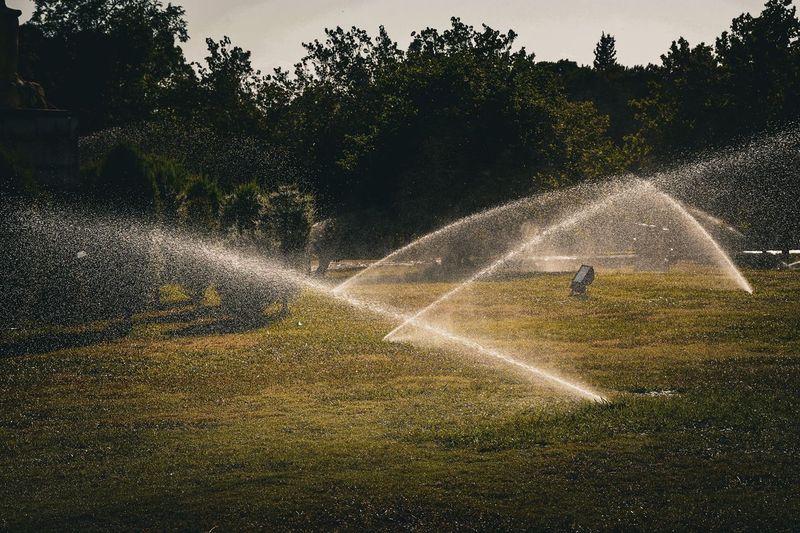 How Much of Our July Water Bill Went Into the Lawn