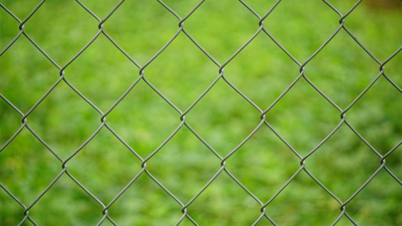 Outsmarting a Dog Who Learned to Open the Chain-Link Gate